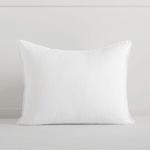 Pottery Barn Kids Toddler Pillow